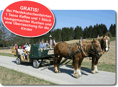 Pferdekutschenfahrten