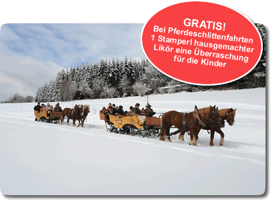 Pferdeschlittenfahrten