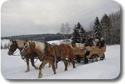 Pferdeschlittenfahrten