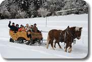 Pferdeschlittenfahrten